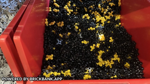 Foto 22-05-21 10-29-53 6891