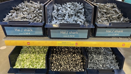 Foto 22-05-21 10-23-17 6803