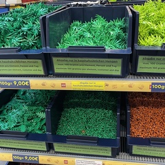 Foto 22-05-21 10-21-42 6785