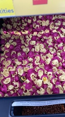 22-09-18 12-36-47 8287