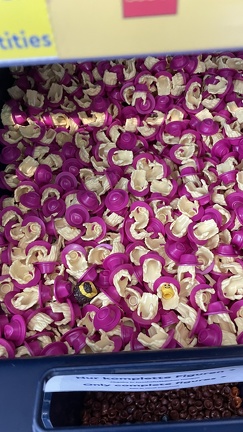 22-09-18 12-36-47 8287