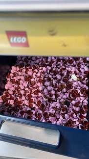 22-09-18 12-36-51 8289