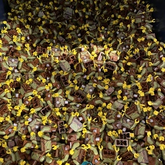 22-09-18 12-40-41 8297