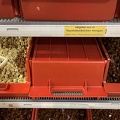 IMG 1532