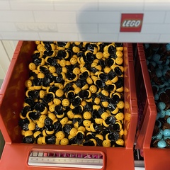 IMG 1330