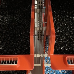 IMG 1355