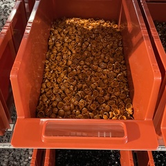 IMG 1359