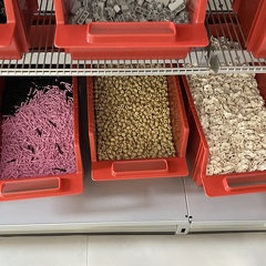 IMG 1370