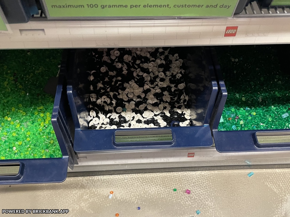 IMG 3554