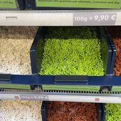 IMG 3568