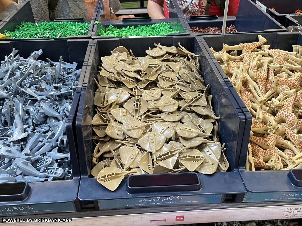 IMG 3590