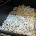 IMG 4083