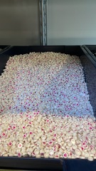 13F0A9D0-55ED-4E51-A55E-39BB56CD4624