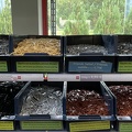 IMG 4101