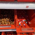 IMG 6764