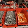 IMG 8161