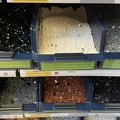 IMG 0860