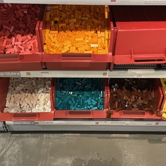 IMG 1005