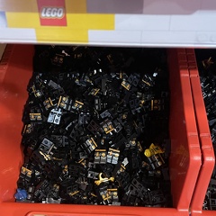 IMG 2550