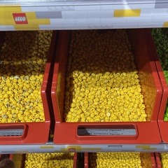 IMG 2650