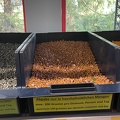 IMG 2767