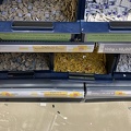 IMG 2781