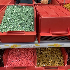 IMG 3080