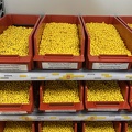 IMG 5575